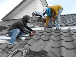 Best Asphalt Shingle Roofing  in Edcouch, TX